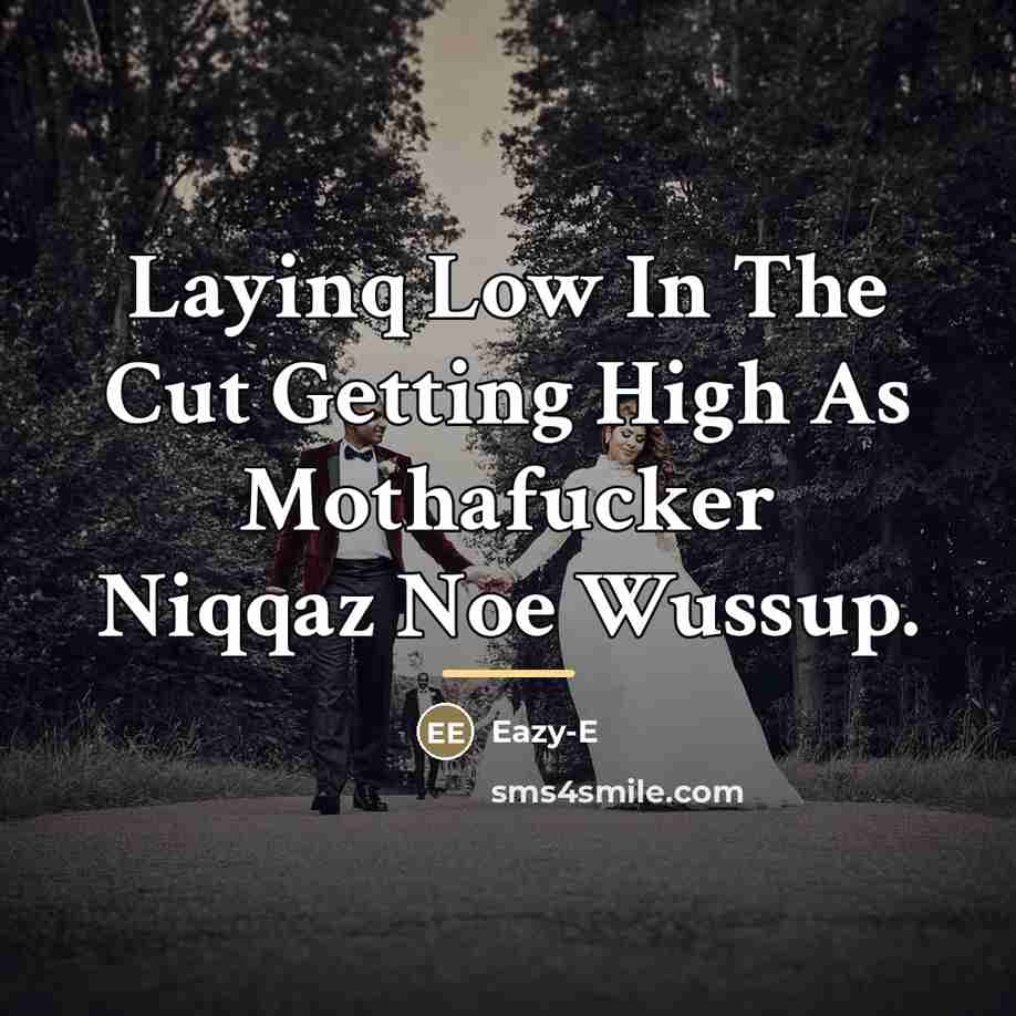 “Layinq Low In The Cut Getting High As Mothafucker Niqqaz…” quote by Eazy-E