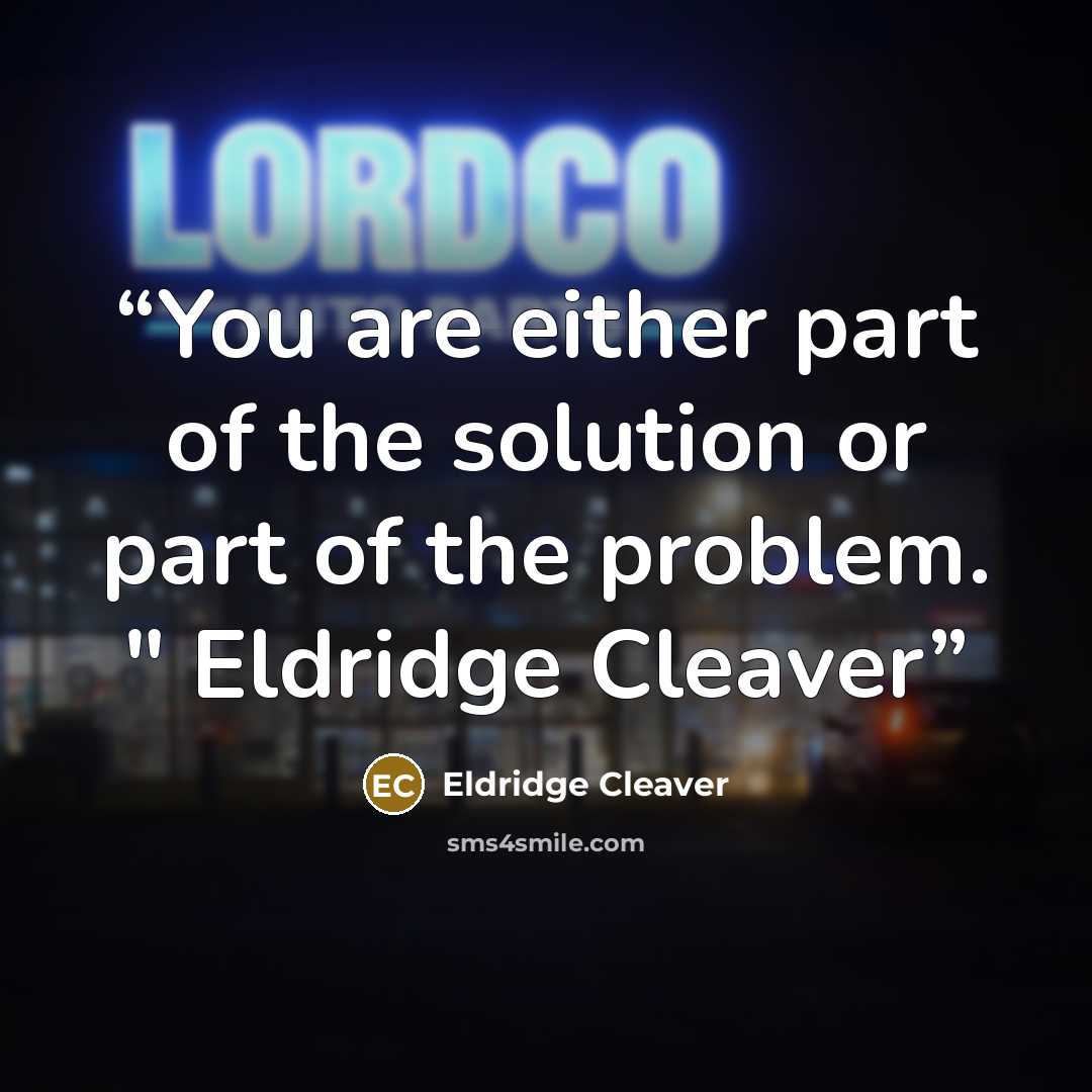 “You are either part of the solution or part of the problem. " Eldridge Cleaver” quote by Eldridge Cleaver