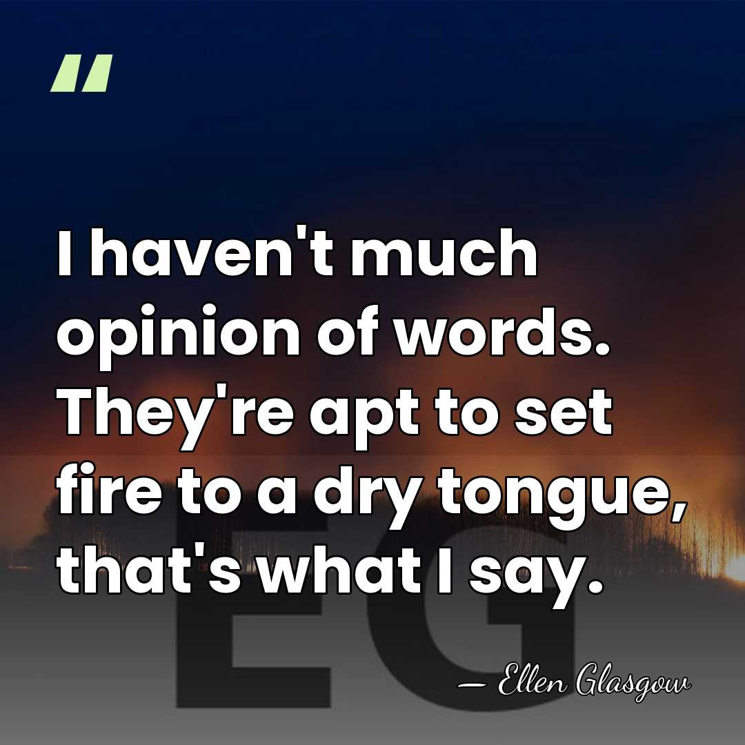 I haven't much opinion of words. They're apt to set fire to&hellip; - Ellen Glasgow
