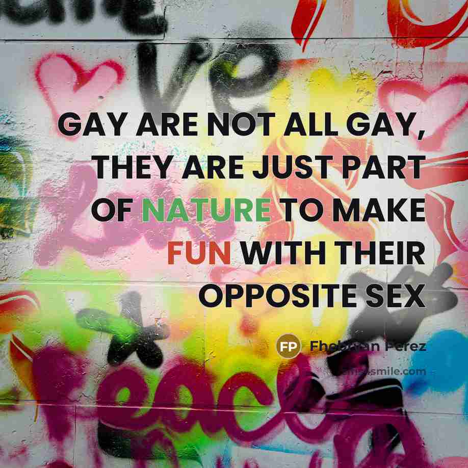 “GAY ARE NOT ALL GAY, THEY ARE JUST PART OF…” quote by Fhebryan Perez