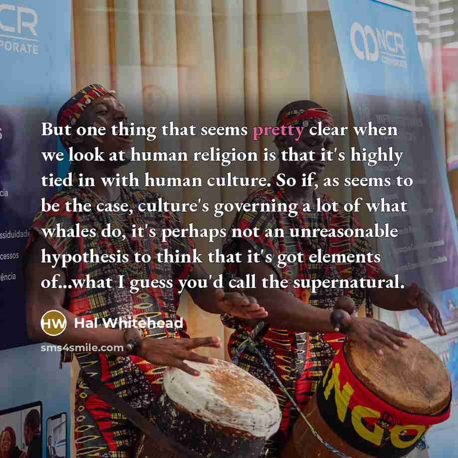 “But one thing that seems pretty clear when we look…” quote by Hal Whitehead
