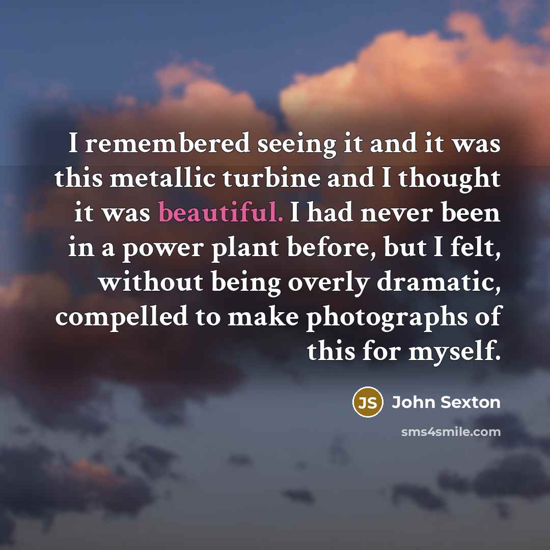 “I remembered seeing it and it was this metallic turbine…” quote by John Sexton
