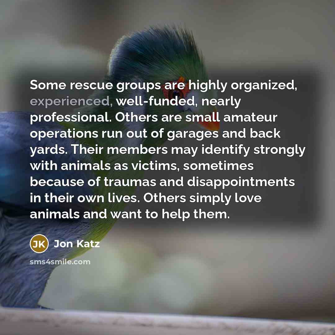 “Some rescue groups are highly organized, experienced, well-funded, nearly professional.…” quote by Jon Katz