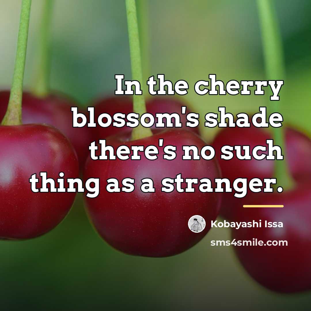 “In the cherry blossom's shade there's no such thing as…” quote by Kobayashi Issa
