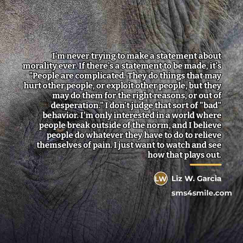 “I'm never trying to make a statement about morality ever.…” quote by Liz W. Garcia