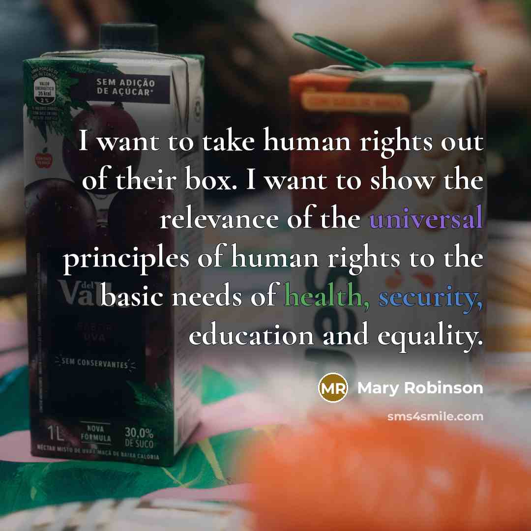 “I want to take human rights out of their box.…” quote by Mary Robinson