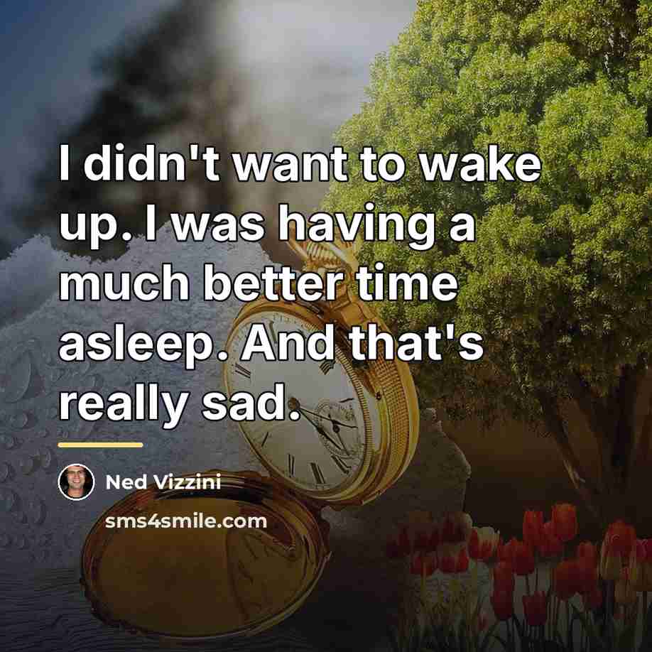 “I didn't want to wake up. I was having a…” quote by Ned Vizzini