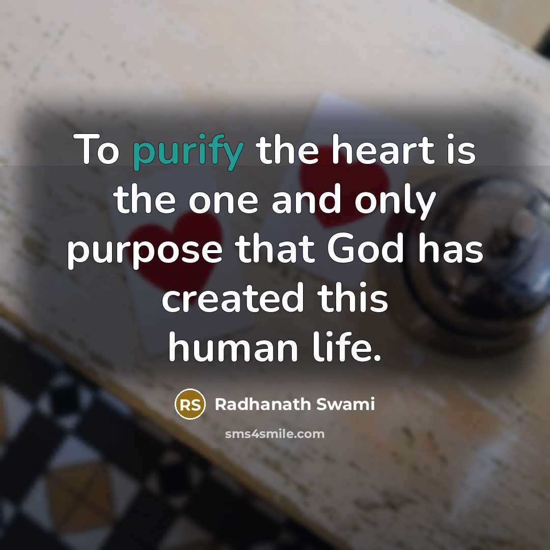 “To purify the heart is the one and only purpose…” quote by Radhanath Swami