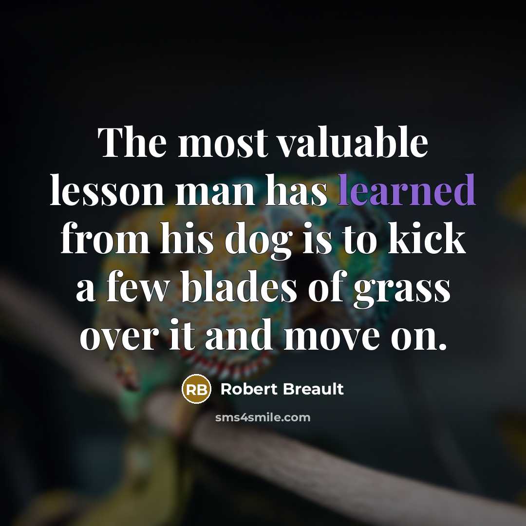 “The most valuable lesson man has learned from his dog is to kick a few blades of grass over it and move on.” quote by Robert Breault