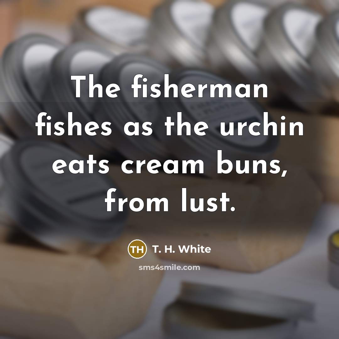 “The fisherman fishes as the urchin eats cream buns, from…” quote by T. H. White