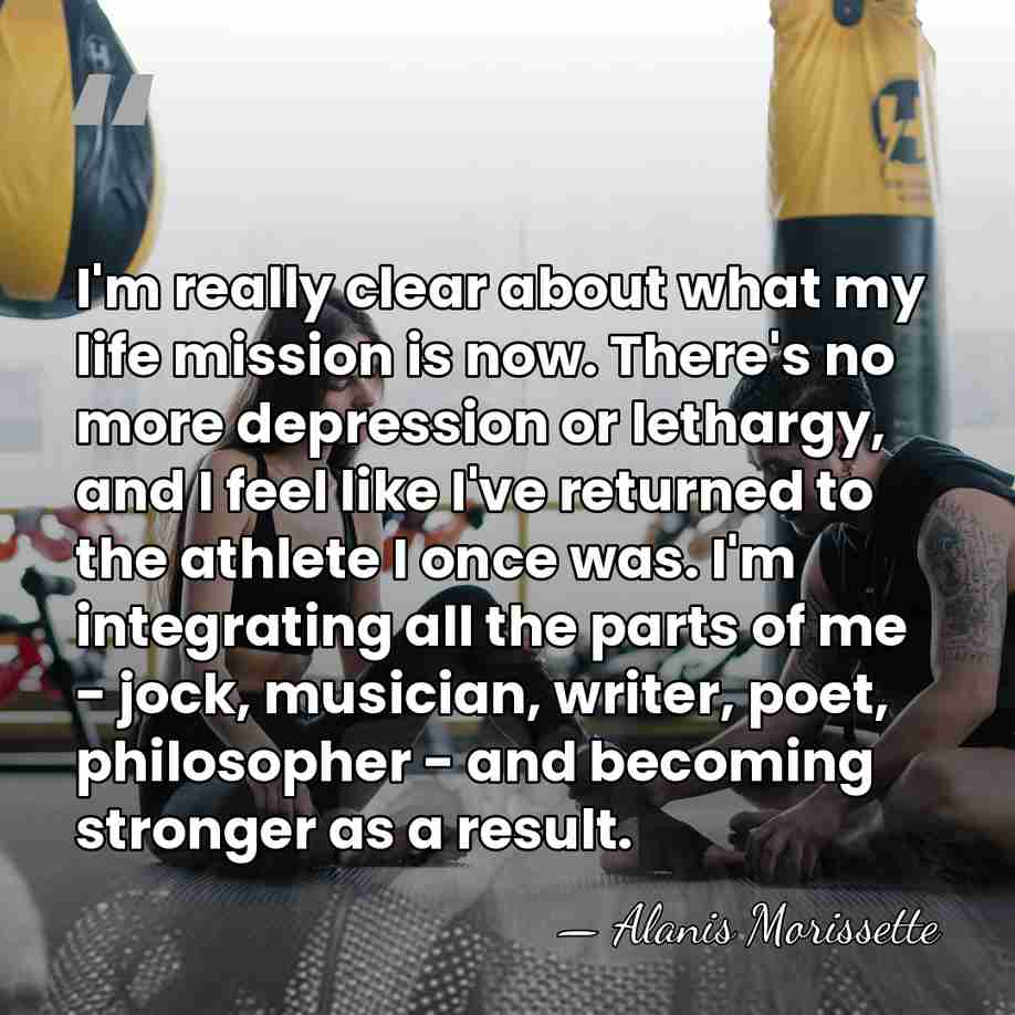 I'm really clear about what my life mission is now. There's no&hellip; - Alanis Morissette