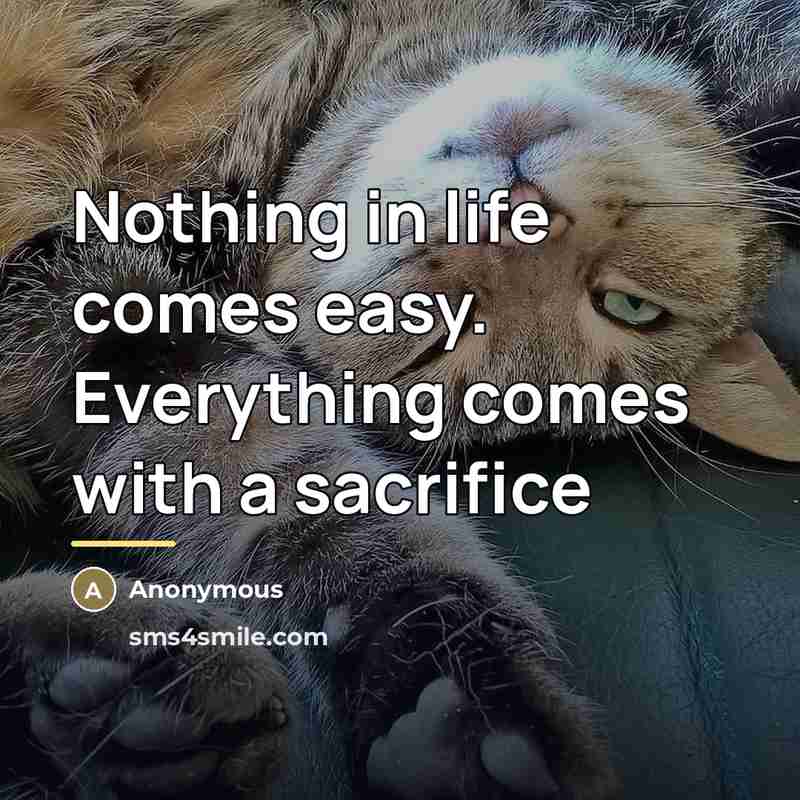 “Nothing in life comes easy. Everything comes with a sacrifice…” quote by Anonymous