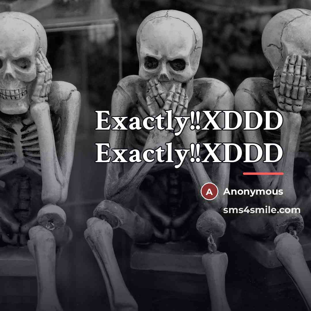 “Exactly!!XDDD Exactly!!XDDD…” quote by Anonymous