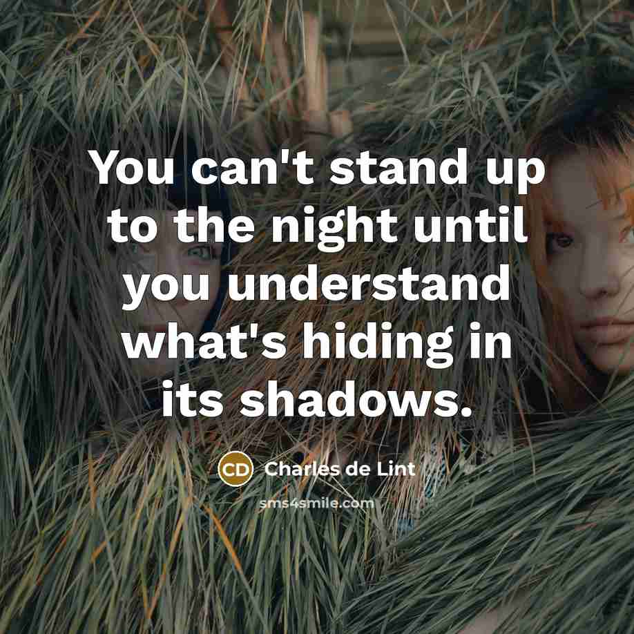 “You can't stand up to the night until you understand…” quote by Charles de Lint