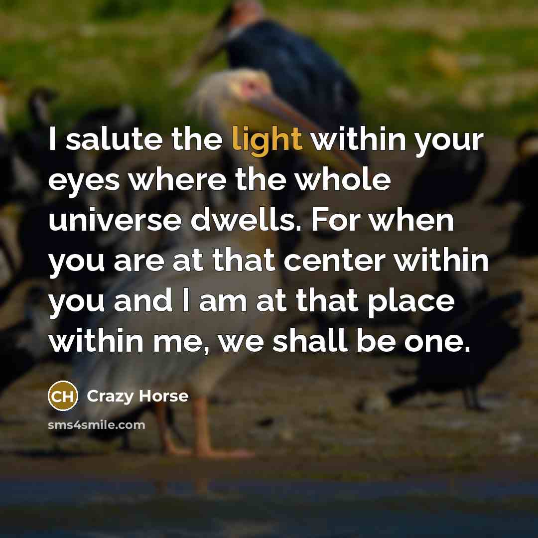 “I salute the light within your eyes where the whole…” quote by Crazy Horse