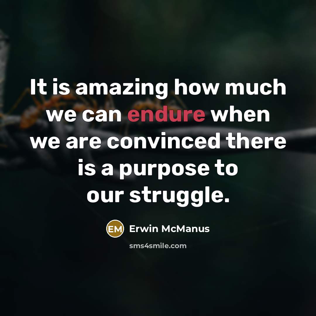 “It is amazing how much we can endure when we…” quote by Erwin McManus