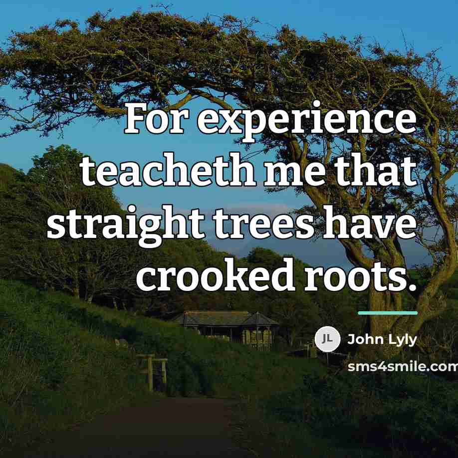 “For experience teacheth me that straight trees have crooked roots.…” quote by John Lyly