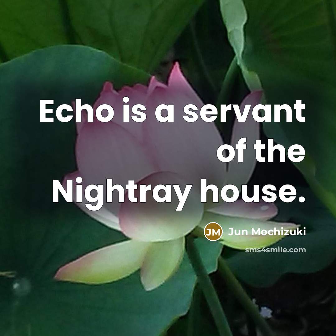 “Echo is a servant of the Nightray house.…” quote by Jun Mochizuki