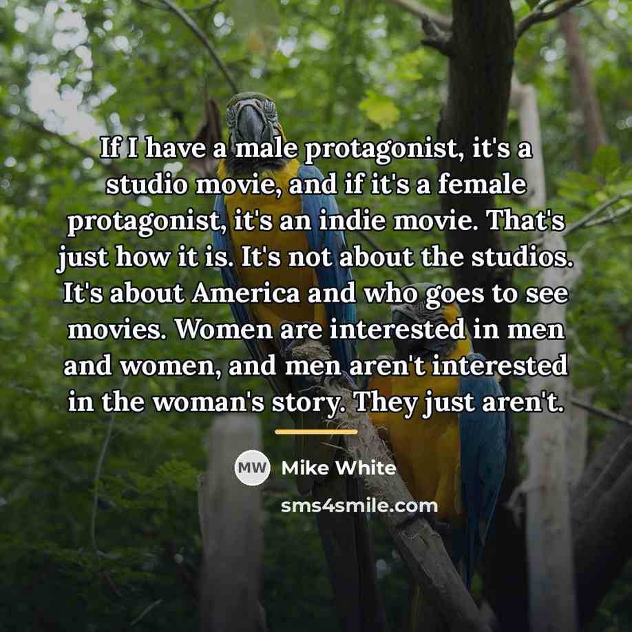 “If I have a male protagonist, it's a studio movie,…” quote by Mike White