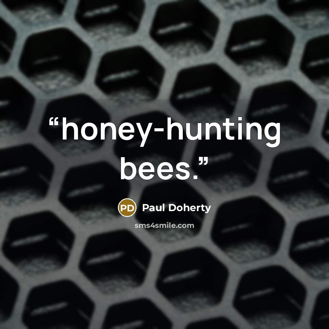 “honey-hunting bees.” quote by Paul Doherty