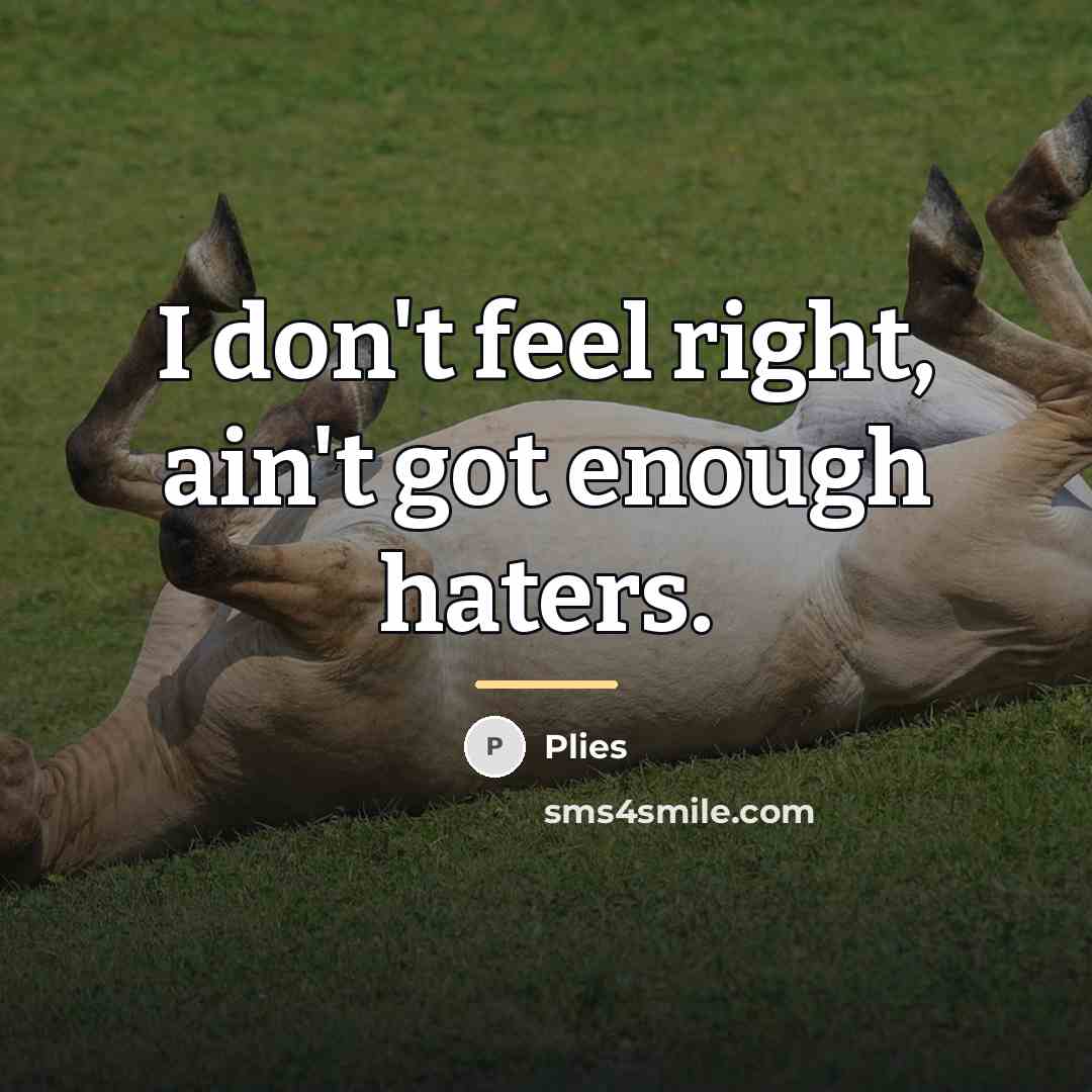 “I don't feel right, ain't got enough haters.…” quote by Plies