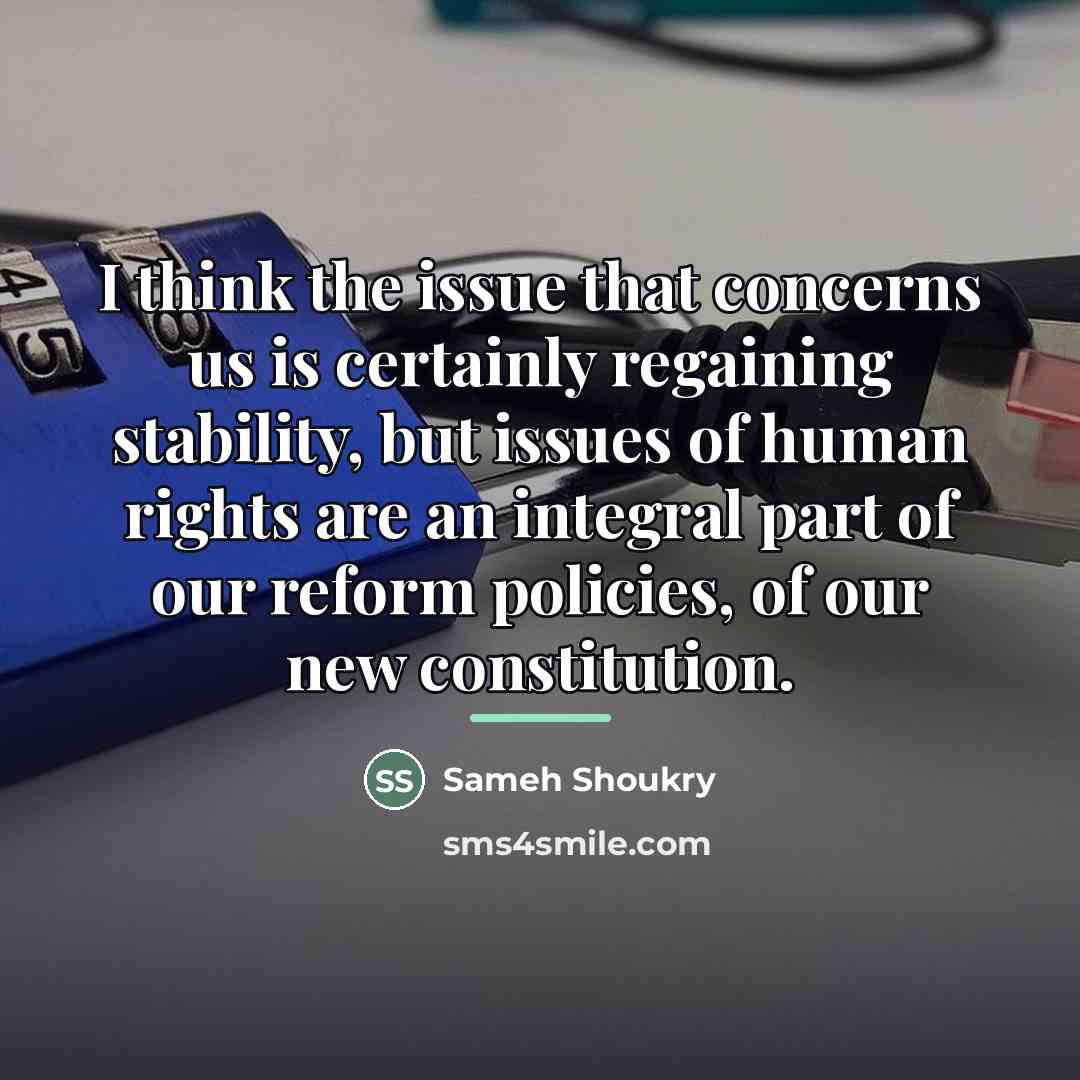 “I think the issue that concerns us is certainly regaining…” quote by Sameh Shoukry