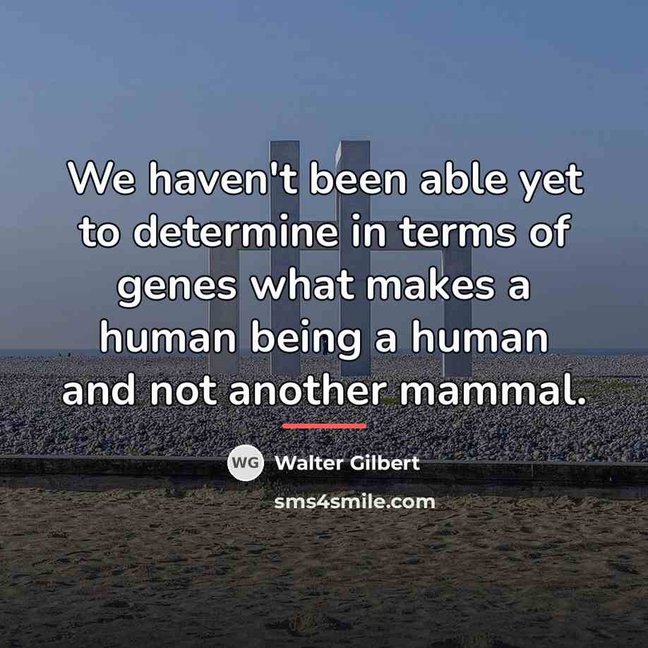 “We haven't been able yet to determine in terms of…” quote by Walter Gilbert