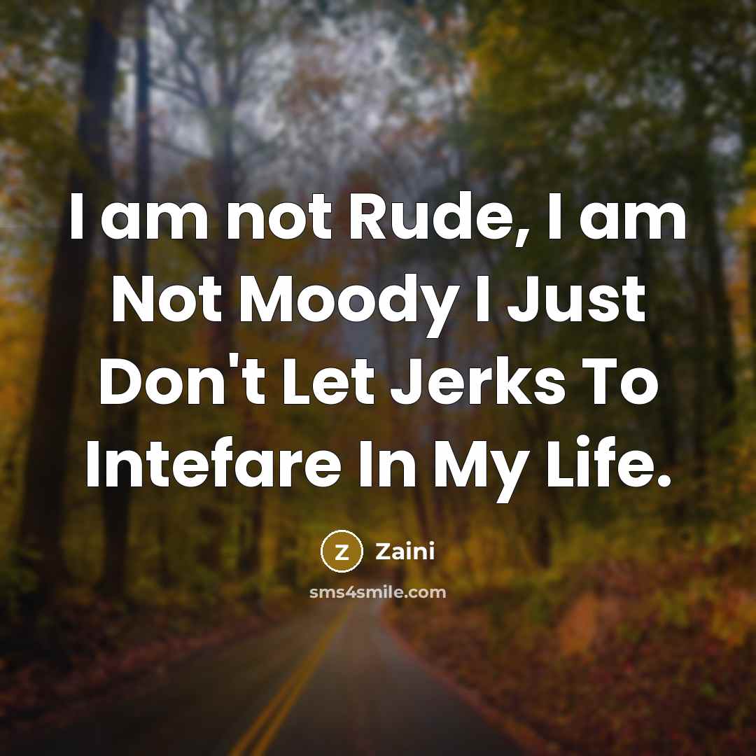 “I am not Rude, I am Not Moody I Just…” quote by Zaini