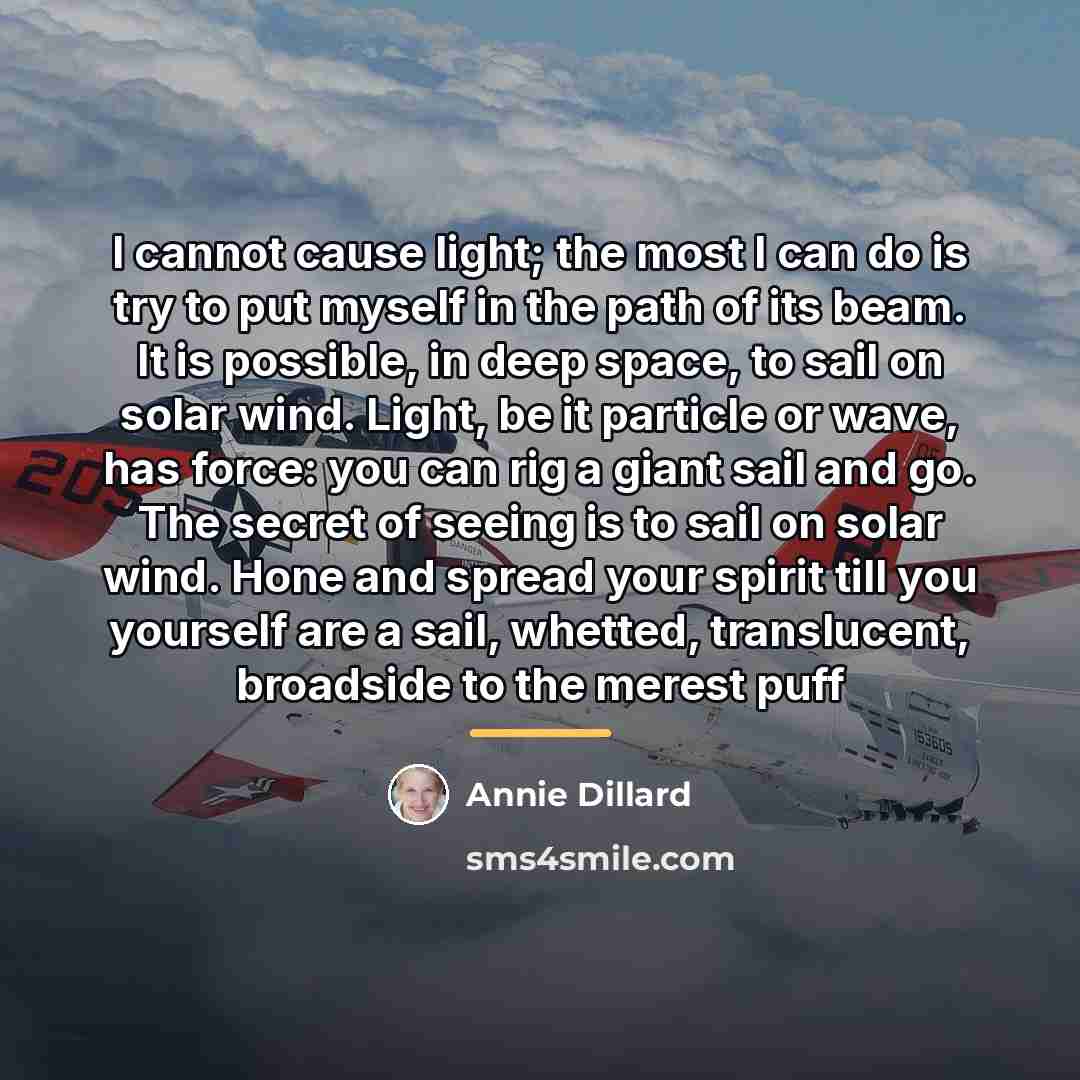 “I cannot cause light; the most I can do is…” quote by Annie Dillard