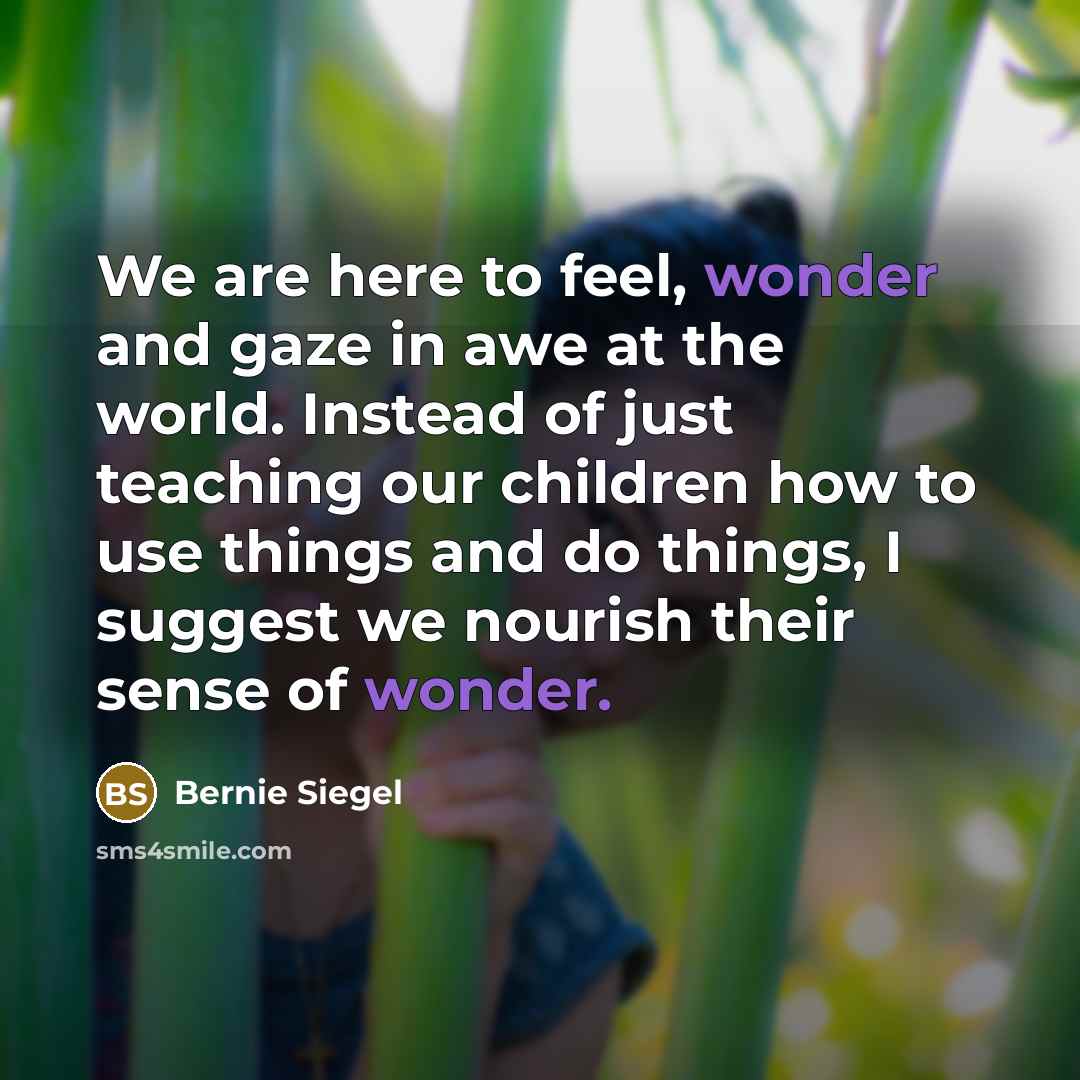 “We are here to feel, wonder and gaze in awe…” quote by Bernie Siegel