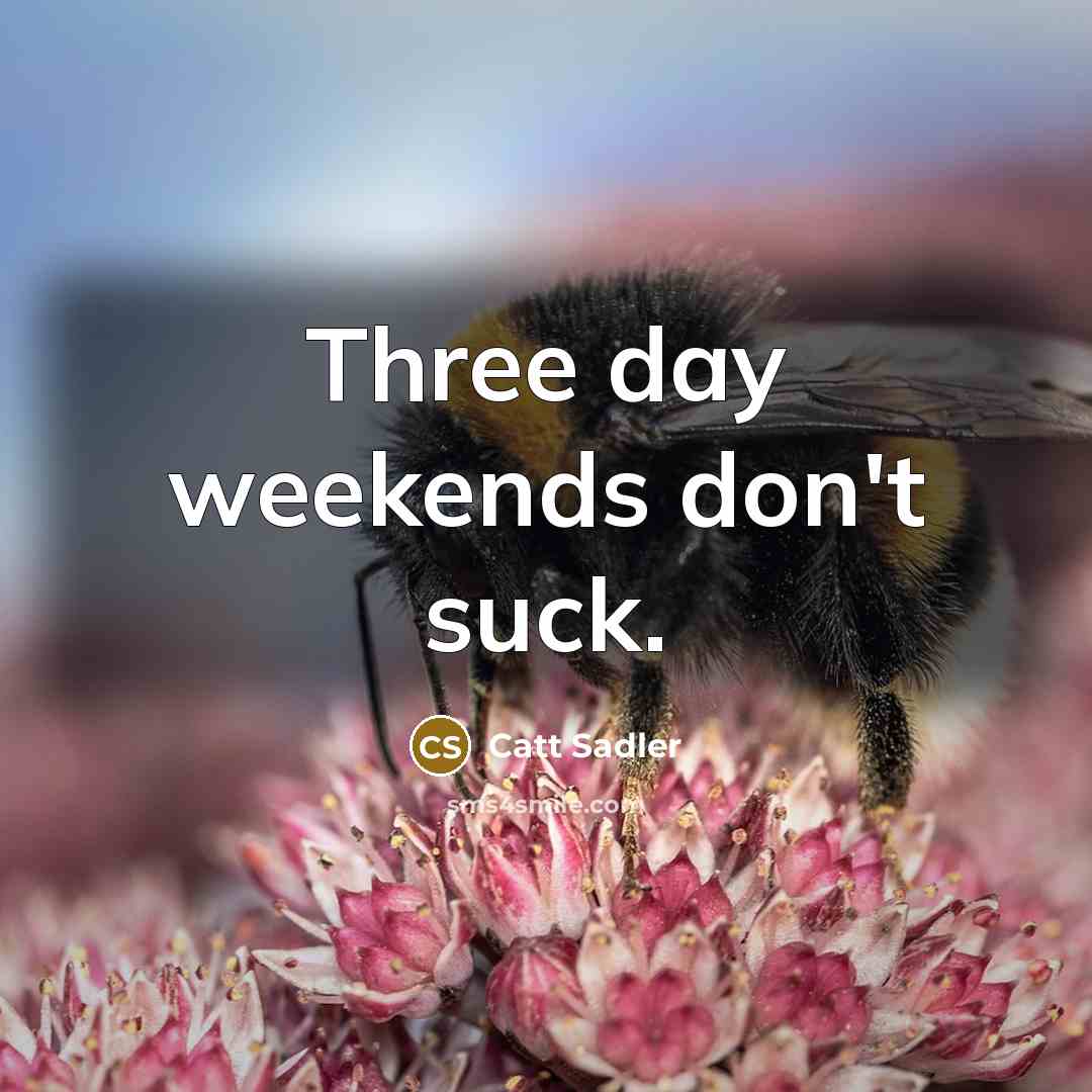 “Three day weekends don't suck.” quote by Catt Sadler