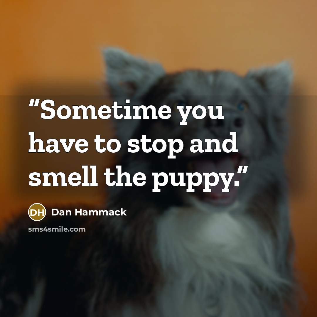 “Sometime you have to stop and smell the puppy.” quote by Dan Hammack