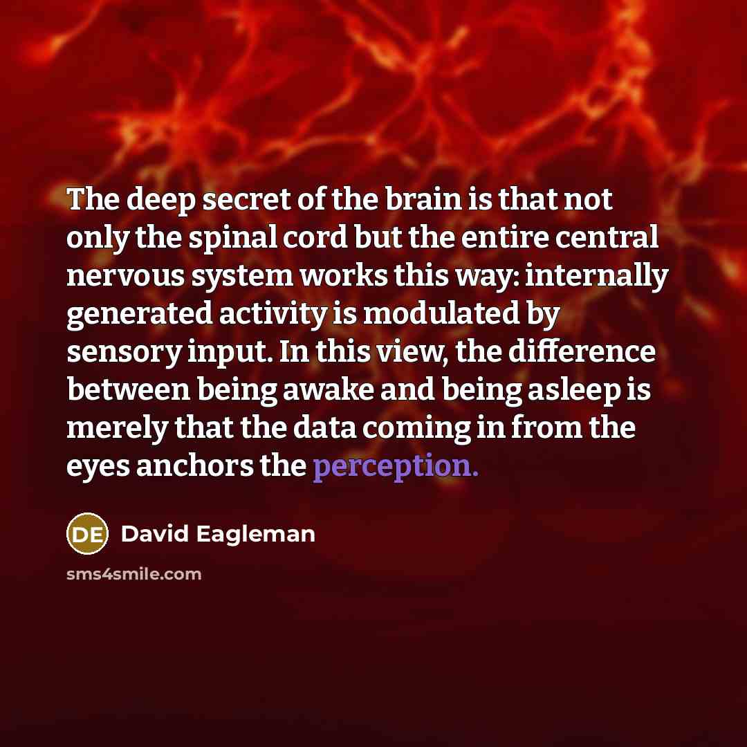 “The deep secret of the brain is that not only…” quote by David Eagleman