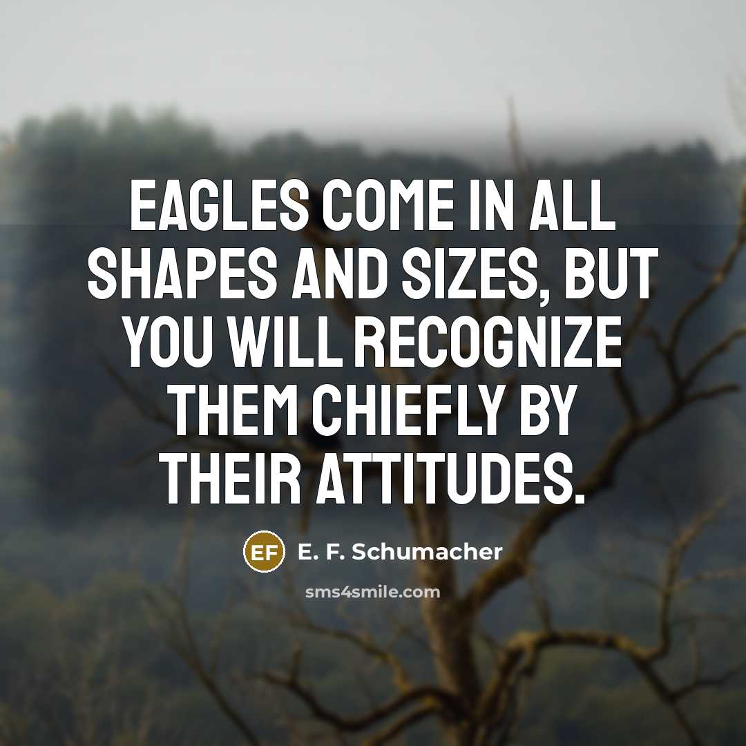 “Eagles come in all shapes and sizes, but you will…” quote by E. F. Schumacher