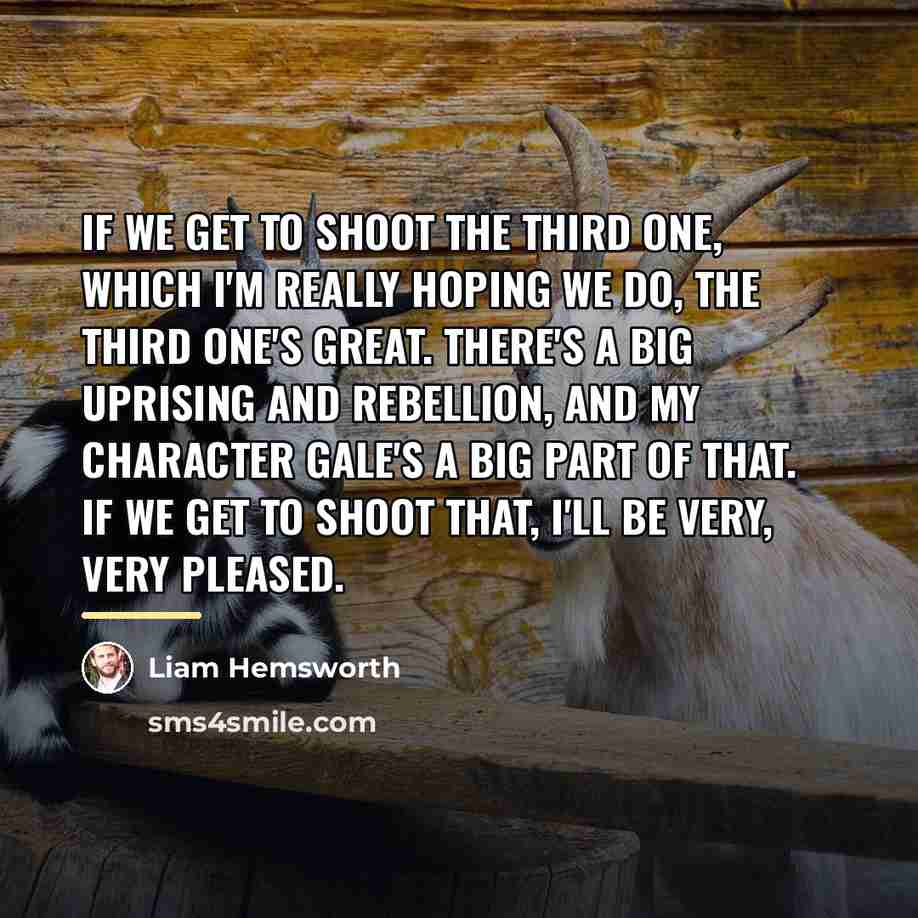 “If we get to shoot the third one, which I'm…” quote by Liam Hemsworth