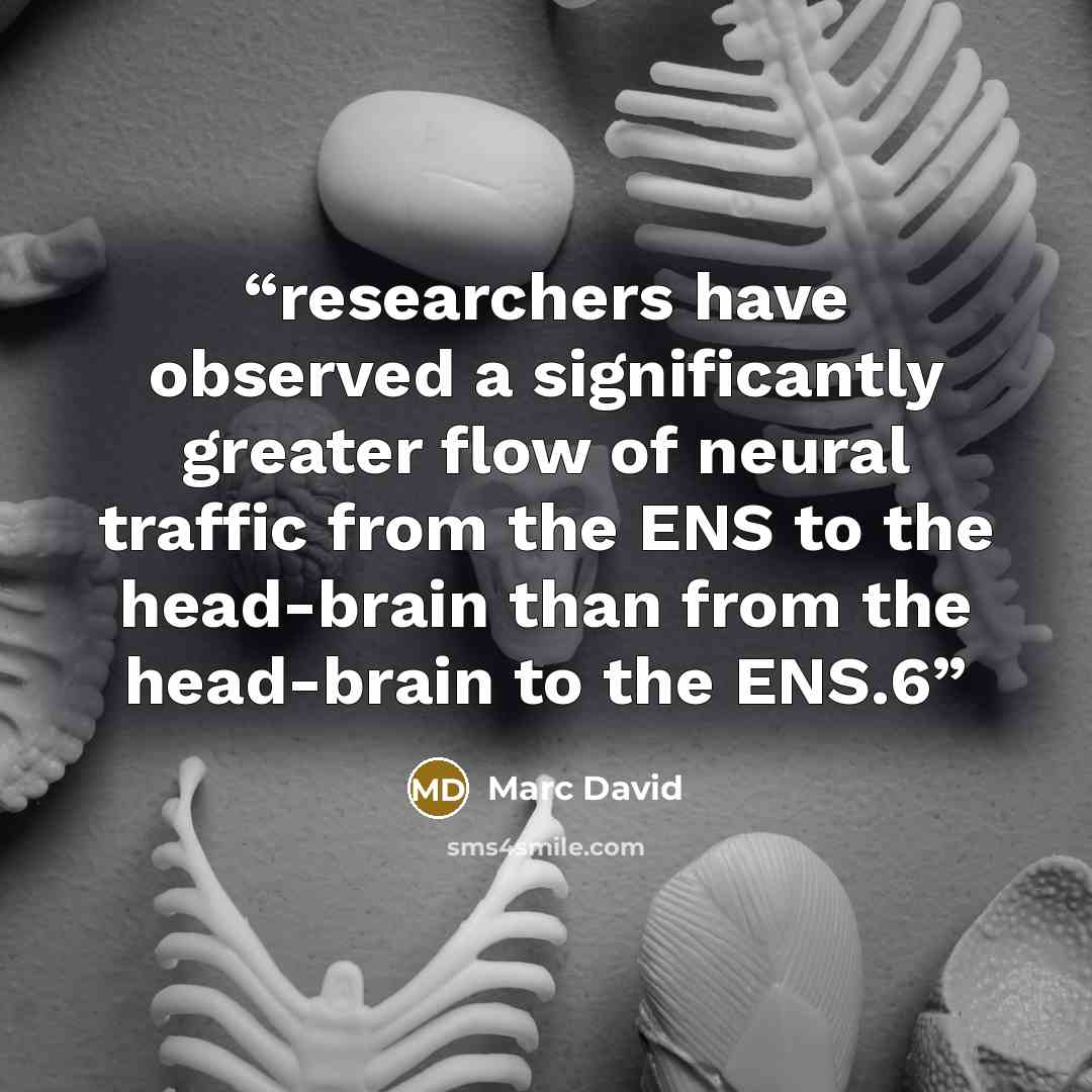 “researchers have observed a significantly greater flow of neural traffic from the ENS to the head-brain than from the head-brain to the ENS.6” quote by Marc David