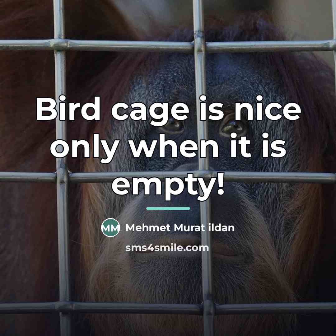 “Bird cage is nice only when it is empty!…” quote by Mehmet Murat Ildan