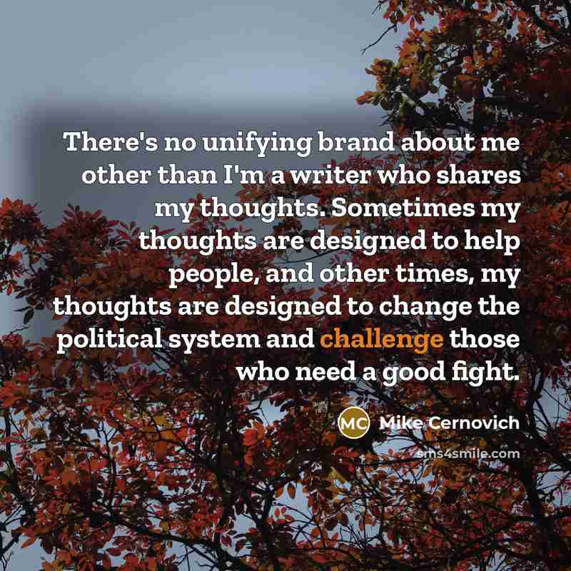 “There's no unifying brand about me other than I'm a…” quote by Mike Cernovich