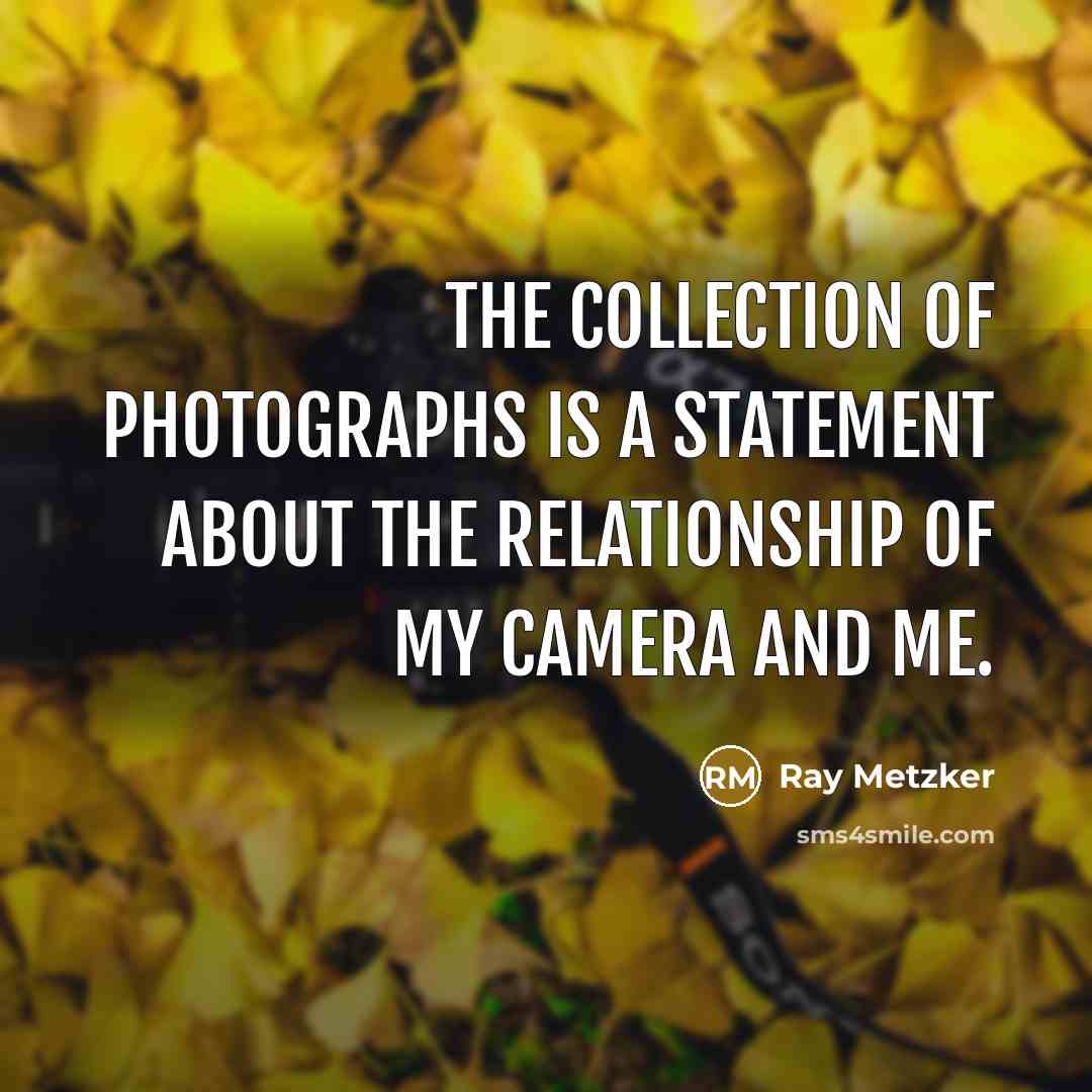 “The collection of photographs is a statement about the relationship…” quote by Ray Metzker