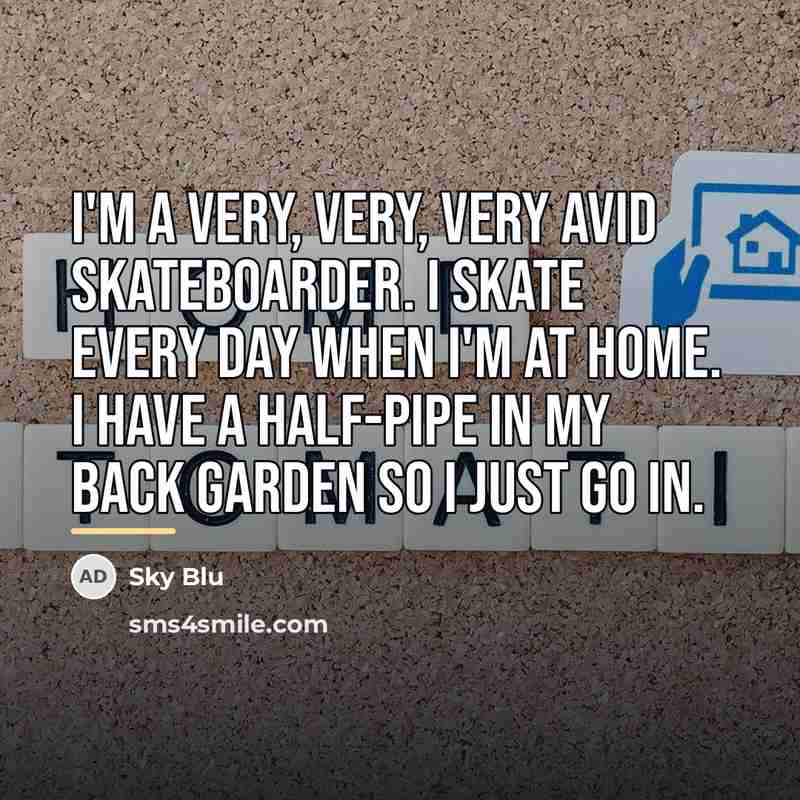 “I'm a very, very, very avid skateboarder. I skate every…” quote by Sky Blu