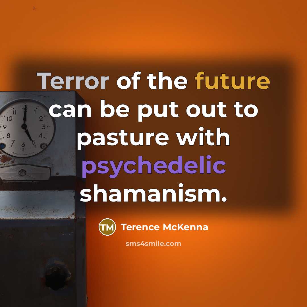 “Terror of the future can be put out to pasture…” quote by Terence McKenna