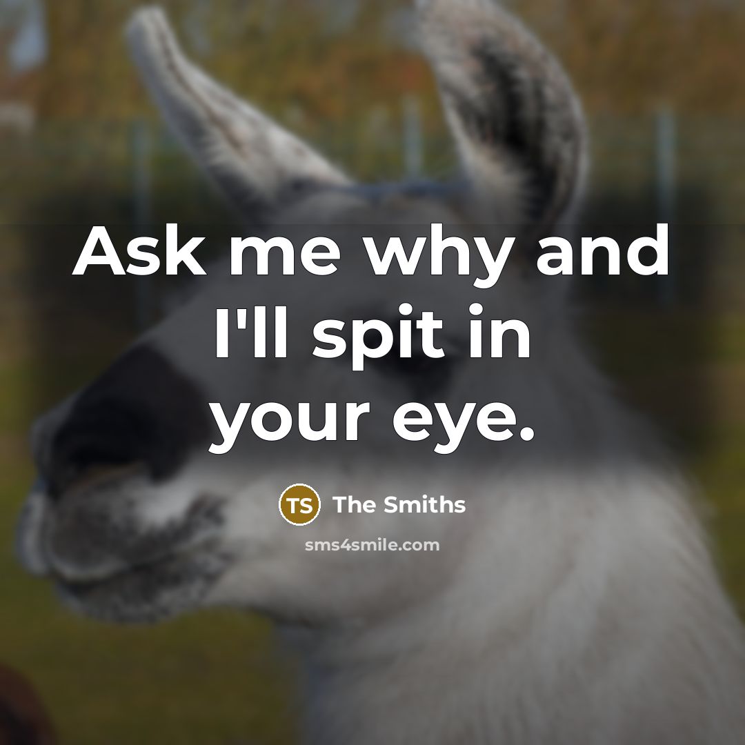 “Ask me why and I'll spit in your eye.…” quote by The Smiths