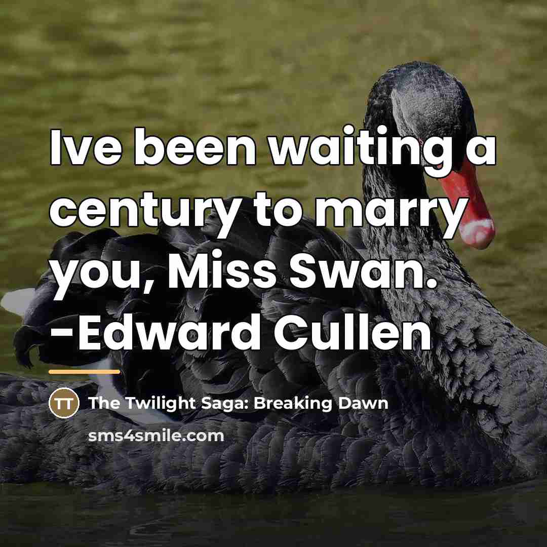 “Ive been waiting a century to marry you, Miss Swan.…” quote by The Twilight Saga: Breaking Dawn