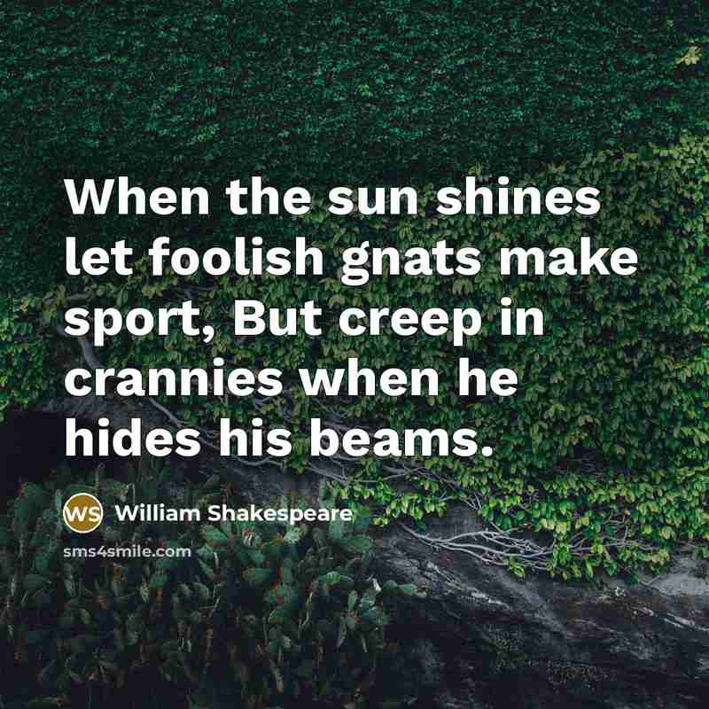 “When the sun shines let foolish gnats make sport, But…” quote by William Shakespeare