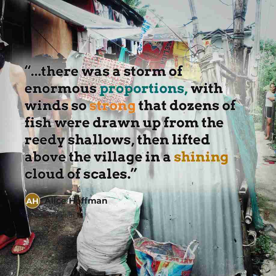 “...there was a storm of enormous proportions, with winds so strong that dozens of fish were drawn up from the reedy shallows, then lifted above the village in a shining cloud of scales.” quote by Alice Hoffman