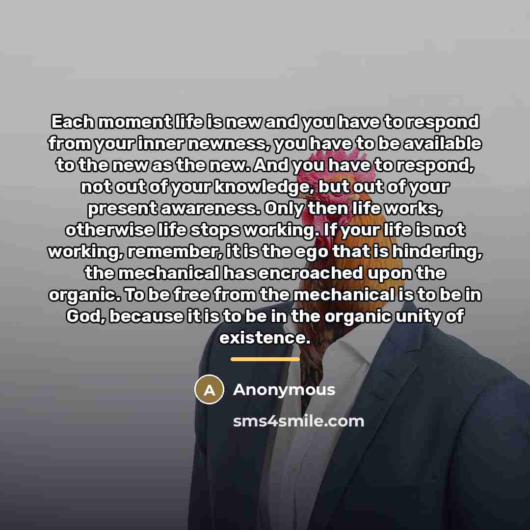 “Each moment life is new and you have to respond…” quote by Anonymous