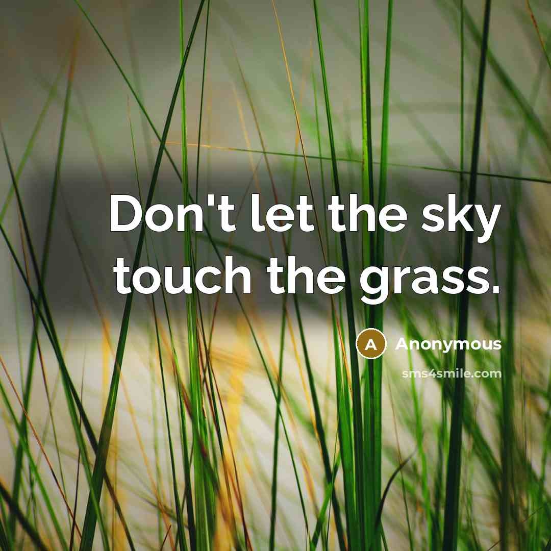 “Don't let the sky touch the grass.” quote by Anonymous