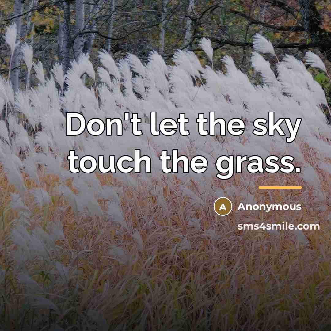 “Don't let the sky touch the grass.…” quote by Anonymous
