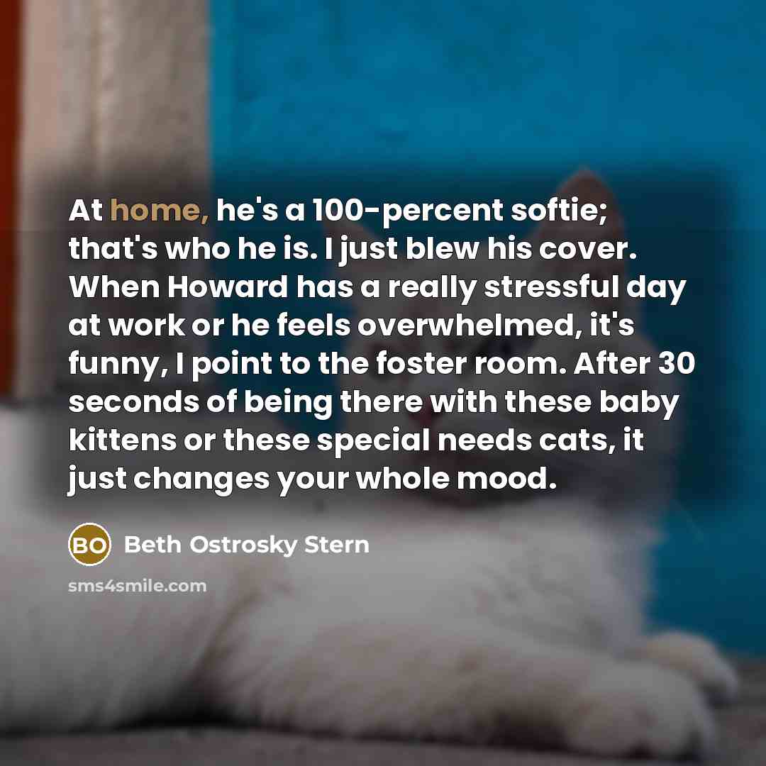 “At home, he's a 100-percent softie; that's who he is.…” quote by Beth Ostrosky Stern