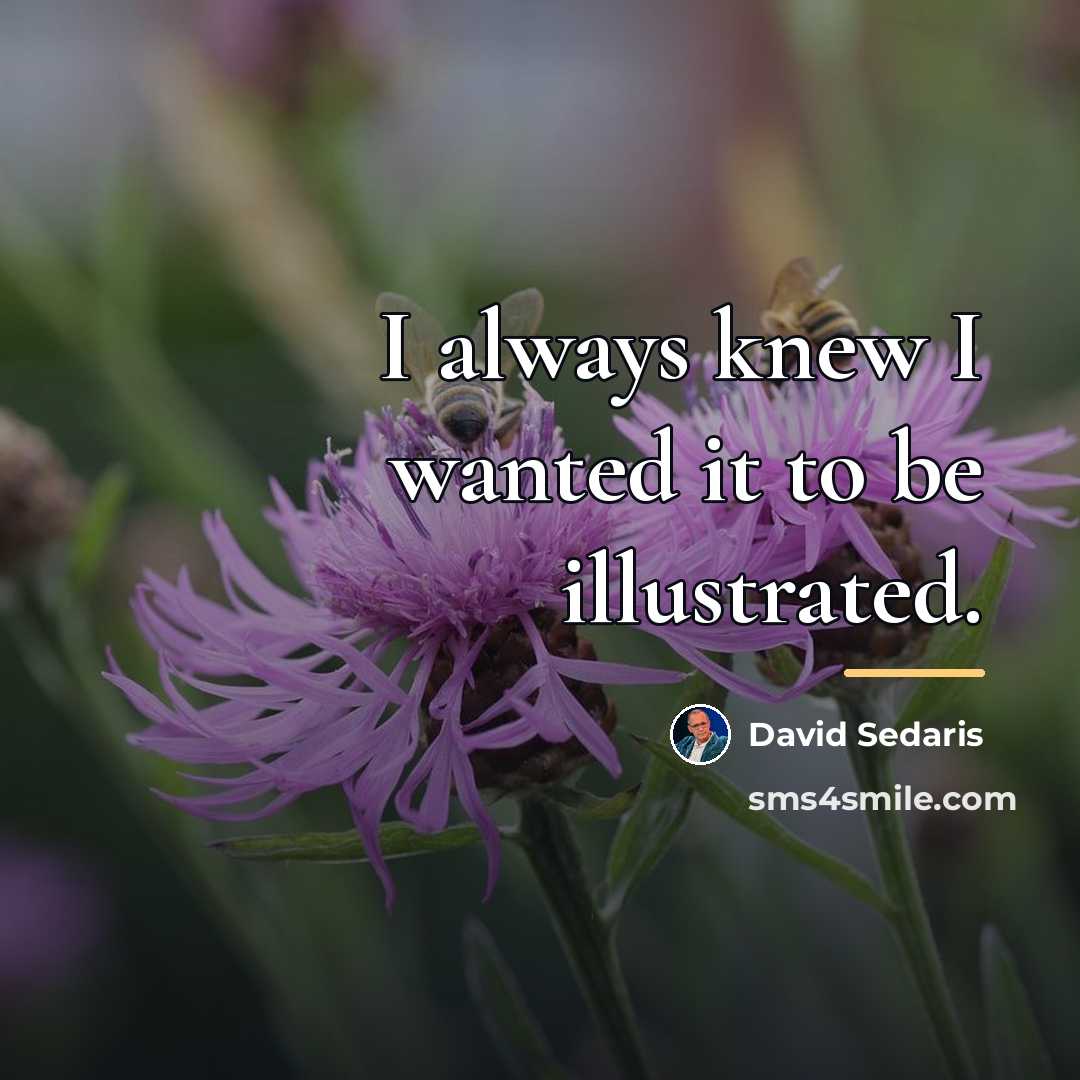 “I always knew I wanted it to be illustrated.…” quote by David Sedaris